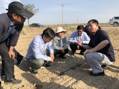 智慧滴灌助增產(chǎn) 引得肥水潤良田--走近兵團‘最美科技工作者’的生物有機肥料研發(fā)之路